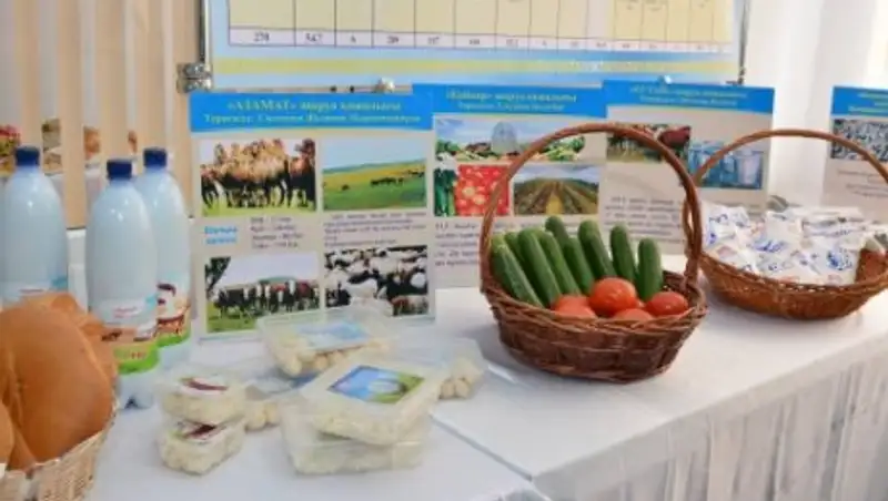 В 2016 году Шалкарский район намерен обеспечить себя собственными овощами