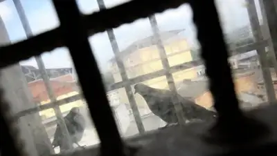 Zakon.kz, фото - Новости Zakon.kz от 23.06.2015 13:32