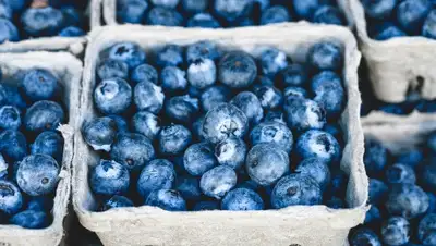 Pixabay, фото - Новости Zakon.kz от 26.11.2019 08:29