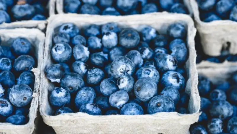 Ученые назвали самую полезную для сердца ягоду