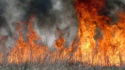 ДЧС Алматинской области, фото - Новости Zakon.kz от 10.10.2019 14:49