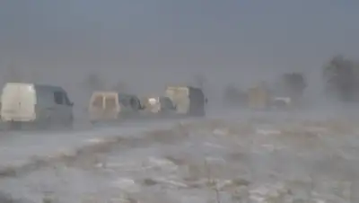 Zakon.kz, фото - Новости Zakon.kz от 26.12.2015 14:53