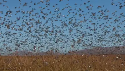 Zakon.kz, фото - Новости Zakon.kz от 25.07.2015 05:02