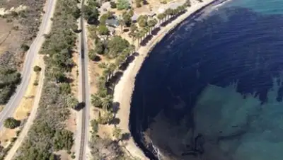 Zakon.kz, фото - Новости Zakon.kz от 20.05.2015 23:27