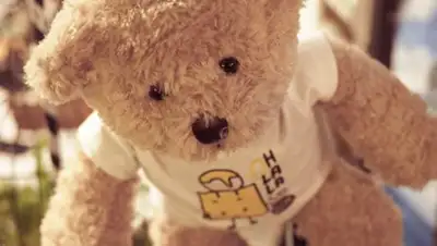 Zakon.kz, фото - Новости Zakon.kz от 08.12.2016 22:41