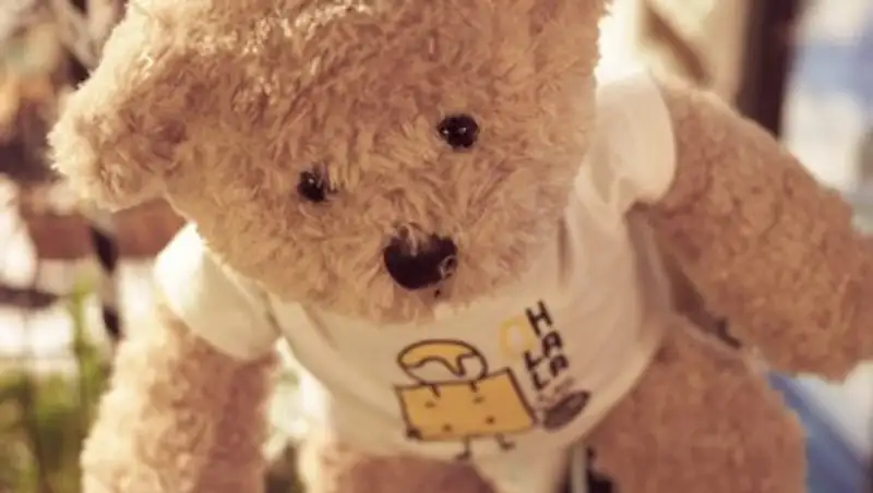 Власти не хотят расследования "педофильского эксперимента" в Берлине