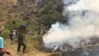 КЧС МВД РК, фото - Новости Zakon.kz от 07.08.2018 18:17