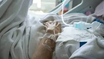 delo.ua, фото - Новости Zakon.kz от 04.12.2020 13:58