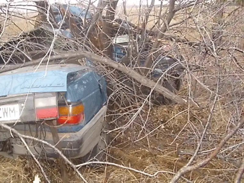 В Костанайской области на трассе найден автомобиль с трупом мужчины (фото) В Костанайской области на трассе найден автомобиль с трупом мужчины (фото), фото - Новости Zakon.kz от 29.11.2013 00:31