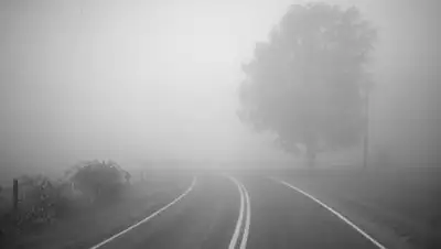 Zakon.kz, фото - Новости Zakon.kz от 09.11.2017 17:09