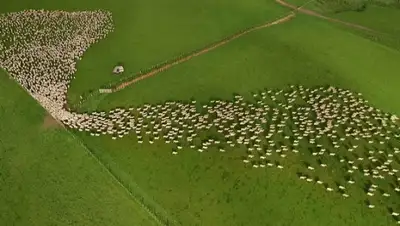 Zakon.kz, фото - Новости Zakon.kz от 16.02.2016 20:17