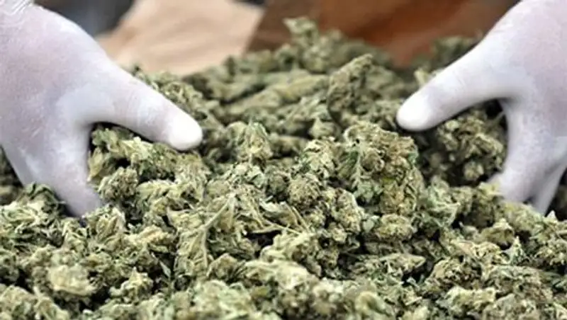 Казахстанские пограничники задержали пассажира рейсового автобуса с 4 кг марихуаны