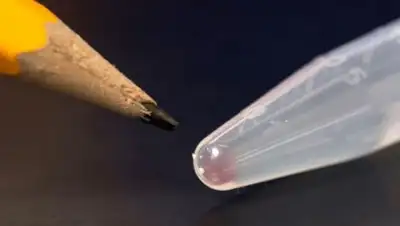 Zakon.kz, фото - Новости Zakon.kz от 13.07.2016 00:43