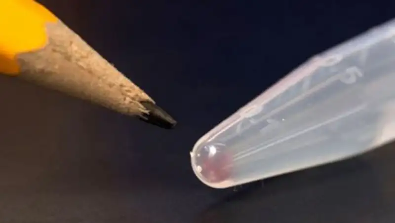 Ученые Microsoft установили новый рекорд по объему данных, записанных в ДНК - 200 мегабайт