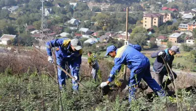 пресс-служба акима Алматы, фото - Новости Zakon.kz от 29.10.2019 11:55