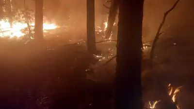Пограничники КНБ тушат пожар на границе в Костанайской области
