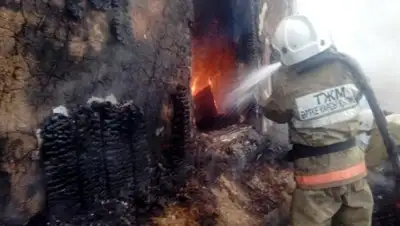 КЧС МВД РК, фото - Новости Zakon.kz от 20.09.2018 10:57