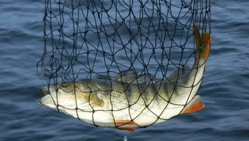 В Актау прошли соревнования по рыбной ловле