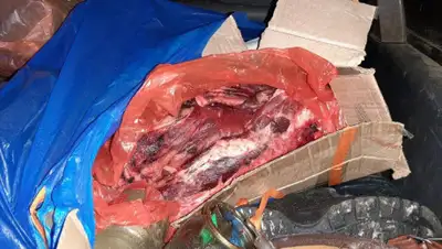 Polisia.kz., фото - Новости Zakon.kz от 15.01.2020 10:08