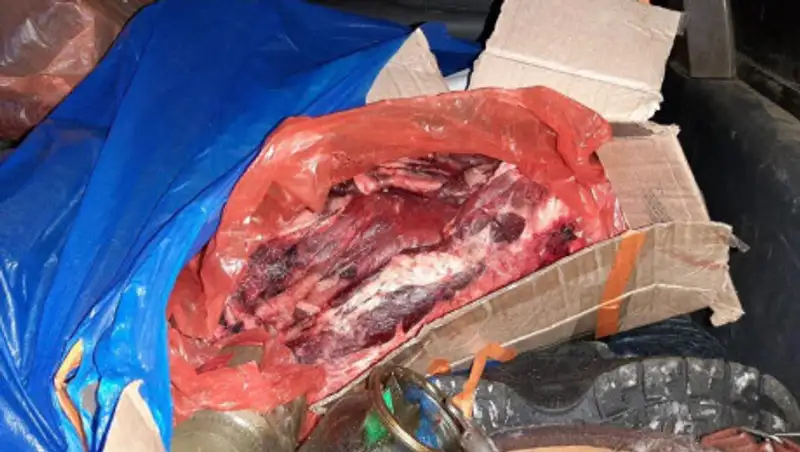 Браконьер убивал косуль в Караганде