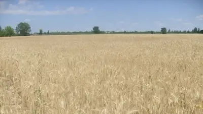 Zakon.kz, фото - Новости Zakon.kz от 05.05.2016 23:48