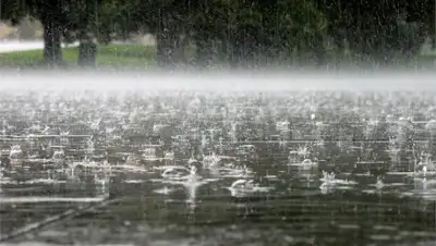 Zakon.kz, фото - Новости Zakon.kz от 11.06.2017 12:00