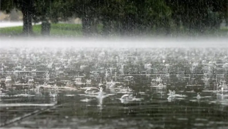 Синоптики обещают дождливое воскресенье 