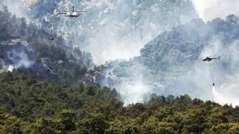 , фото - Новости Zakon.kz от 31.07.2023 18:23