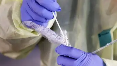 Istock, фото - Новости Zakon.kz от 28.11.2020 09:05