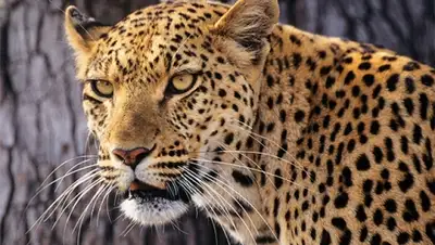 Zakon.kz, фото - Новости Zakon.kz от 01.06.2015 23:57