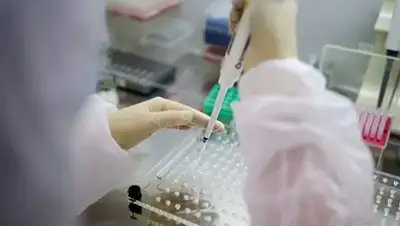 /ria.ru, фото - Новости Zakon.kz от 31.03.2020 12:55