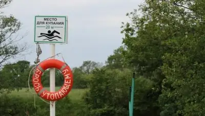 Zakon.kz, фото - Новости Zakon.kz от 12.07.2017 15:24