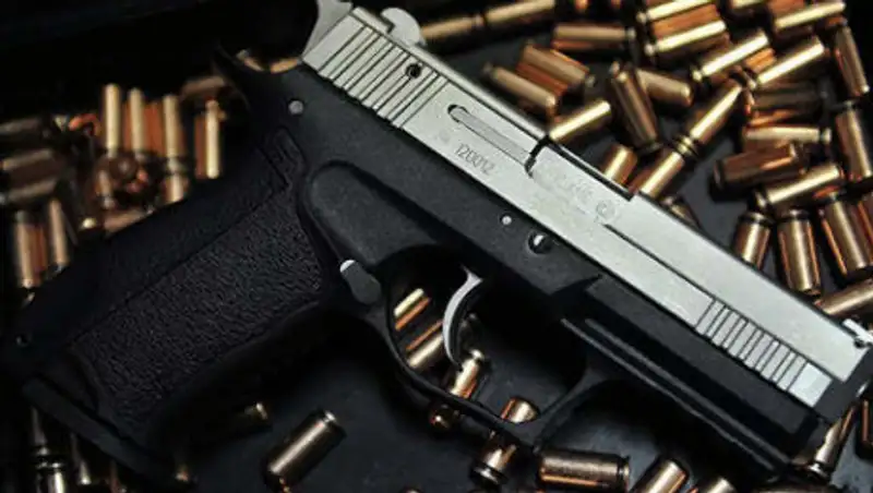 71 единицу незаконного огнестрельного оружия сдали жители Алматинской области