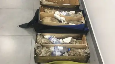 пограничная служба КНБ РК, фото - Новости Zakon.kz от 12.03.2018 16:17