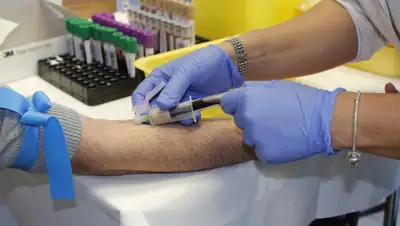 Pixabay, фото - Новости Zakon.kz от 30.08.2019 09:08