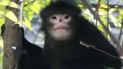 Zakon.kz, фото - Новости Zakon.kz от 10.02.2017 17:03