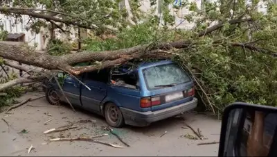 УН, фото - Новости Zakon.kz от 06.08.2019 17:40