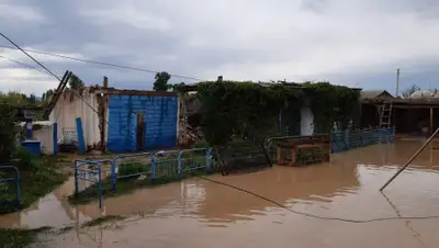 ДЧС ВКО, фото - Новости Zakon.kz от 20.07.2020 12:45