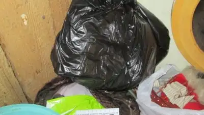 Zakon.kz, фото - Новости Zakon.kz от 22.08.2017 20:38