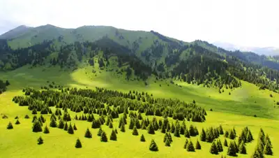 Inbusiness.kz, фото - Новости Zakon.kz от 10.11.2019 14:37