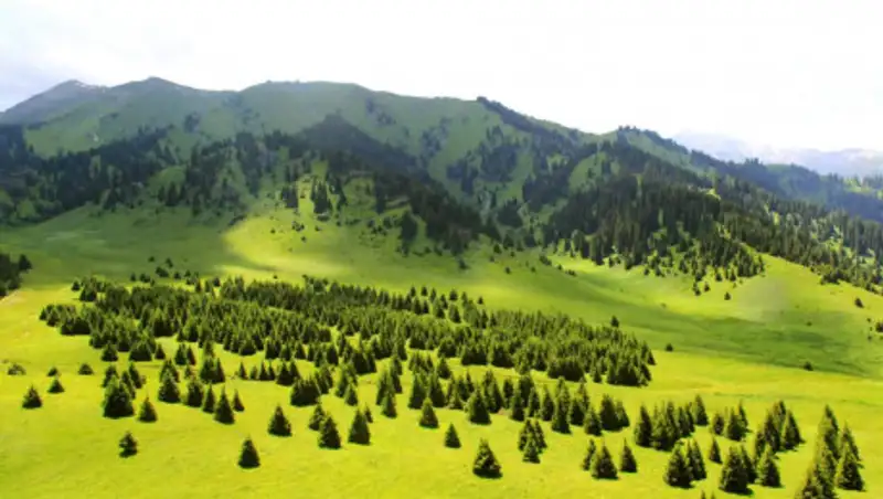 В ООН прокомментировали решение Токаева о запрете строительства на Кок-Жайлау