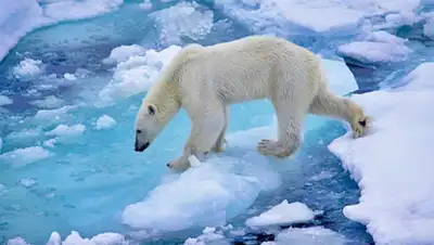 youtube, фото - Новости Zakon.kz от 22.06.2020 18:20