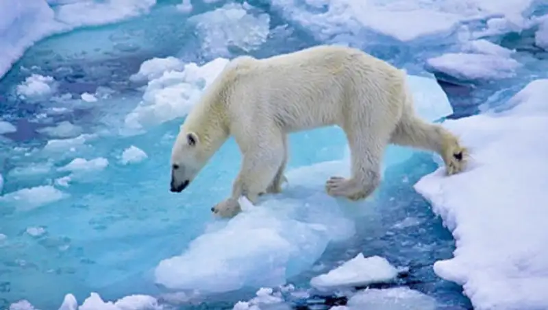 Потепление Арктики идет на 80 лет быстрее