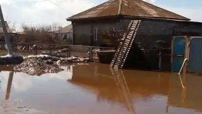 Zakon.kz, фото - Новости Zakon.kz от 15.06.2017 22:15