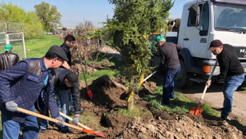Госслужащие Алматы высадили около 4000 деревьев