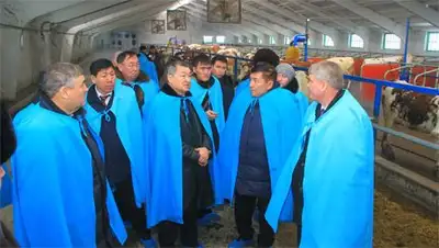 Zakon.kz, фото - Новости Zakon.kz от 29.01.2015 18:03