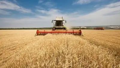 Zakon.kz, фото - Новости Zakon.kz от 10.11.2015 07:54