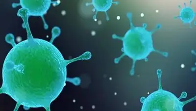 rossaprimavera.ru, фото - Новости Zakon.kz от 07.12.2020 10:38