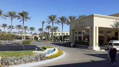 zakon.kz, пиар-служба, фото - Новости Zakon.kz от 20.12.2019 11:50