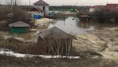 Zakon.kz, фото - Новости Zakon.kz от 30.04.2017 19:22